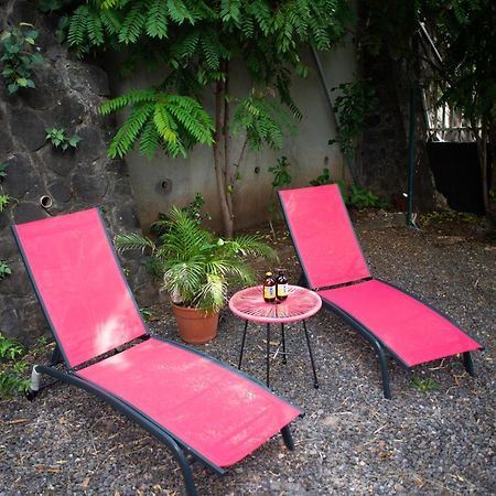 Le Bambou T3 Centre Ville Sainte Clotilde Rez De Jardin Bois de Nefles  Exterior foto
